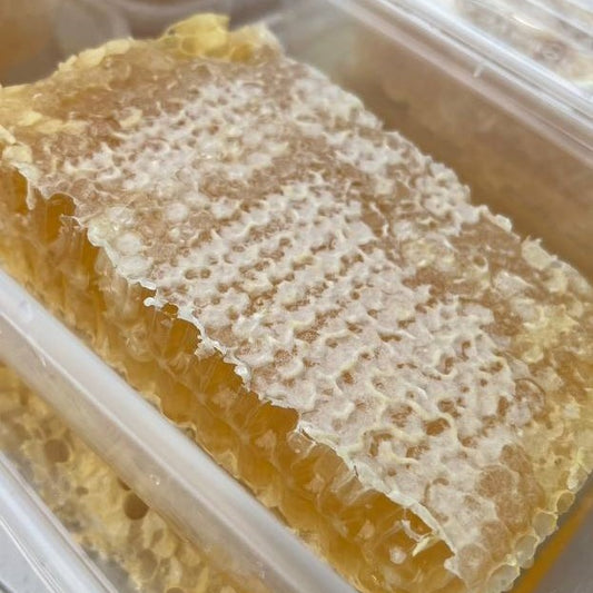 Raw Honeycomb | Pure Uncut Honeycomb with Bee Pollen
