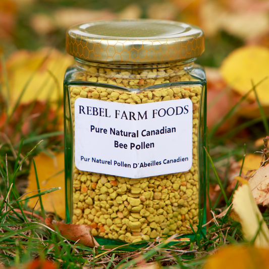 Bee Pollen | Raw Ontario Bee Pollen Granules