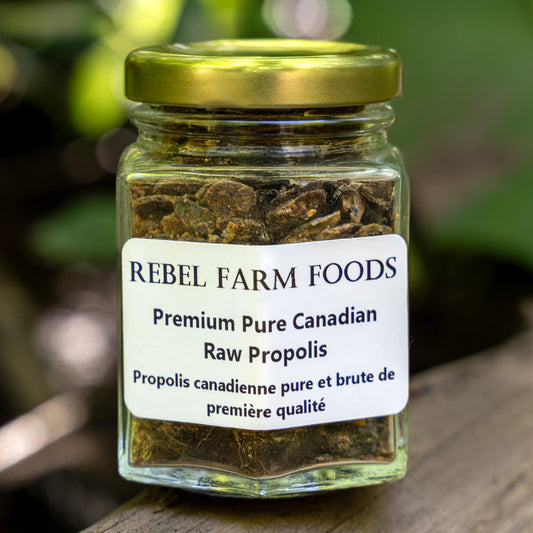 Raw Bee Propolis | Ontario Propolis Resin