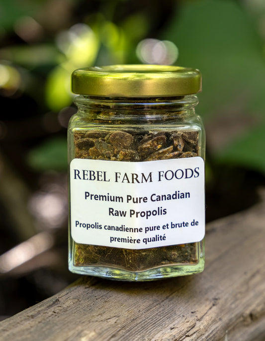 Premium Ontario Raw Propolis