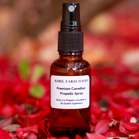 Propolis Spray | Ontario Propolis Multi-Purpose Throat Spray